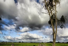 字母哥28+19+7约基奇空砍32+14+10 雄鹿力克掘金.