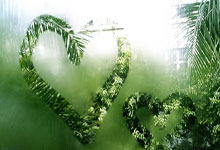 B体育：篮球——NBA常规赛：勇士胜尼克斯.