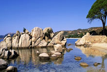 B体育：蒙克26+12库里空砍26分 国王大胜勇士4连胜.